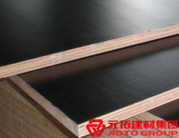 木模板的材料有哪些？各自有什么特點？