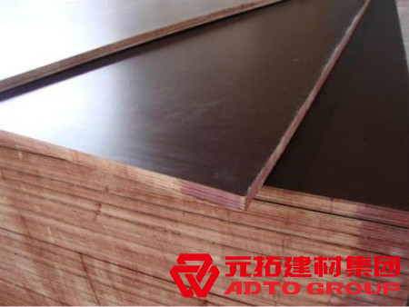  河北木模板如何選購？建筑木模板選購注意哪些方面？