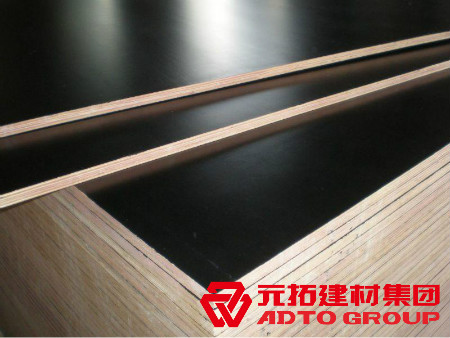 河北建筑木模板生產(chǎn)廠家怎么選購？